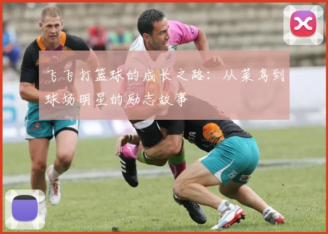 飞飞打篮球的成长之路：从菜鸟到球场明星的励志故事