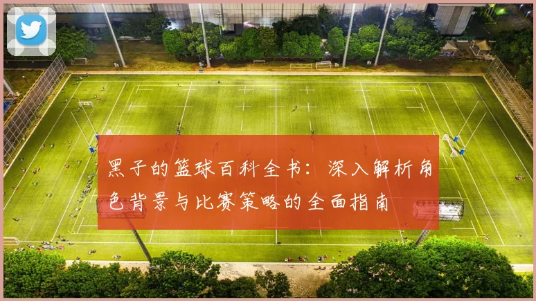黑子的篮球百科全书：深入解析角色背景与比赛策略的全面指南