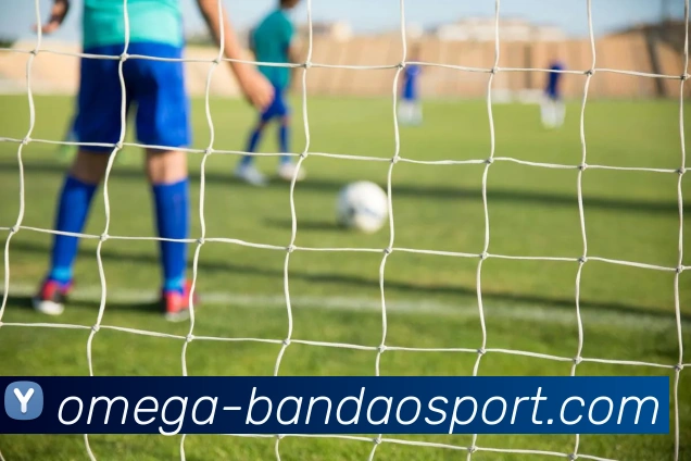 半岛体育平台生态图